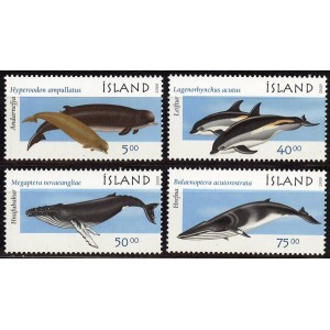 Island - vaalad ja delfiinid 2000, puhas