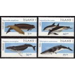 Island - vaalad ja delfiinid 2001, puhas