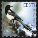 Eesti - 2003 aasta lind - harakas, **