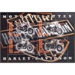 Kongo - mootorrattad, Harley Davidson 2013, **
