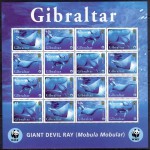Gibraltar - merefauna WWF, raid 2006, väikep. **