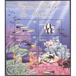 Maldives - kalad 2003, väikepoogen II **